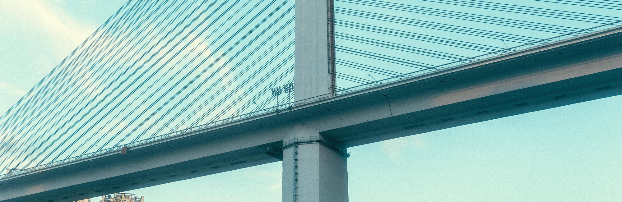 A cable-stayed bridge in a certain city